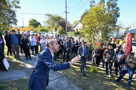 Best Month for Sydney auctions in almost two years